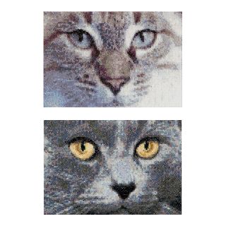 Borduurpakket Katten Jack en Luna  - Thea Gouverneur