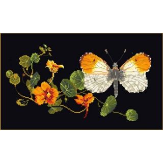 Borduurpakket Oranjetip op Oostindische kers Black Collection - Thea Gouverneur