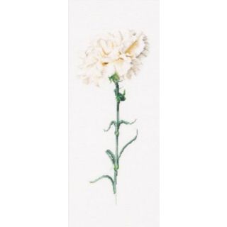 Borduurpakket Witte Anjer (Carnation White) Aida - Thea Gouverneur